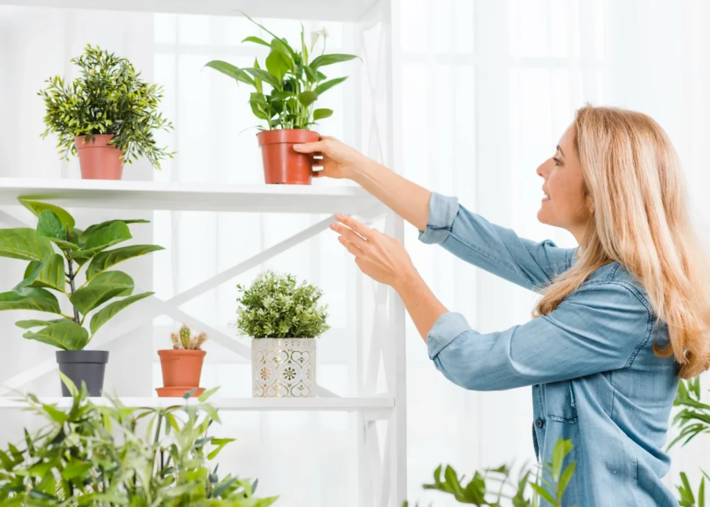 Best Indoor Houseplants for Air Quality in Richmond - How Do Plants Purify Air